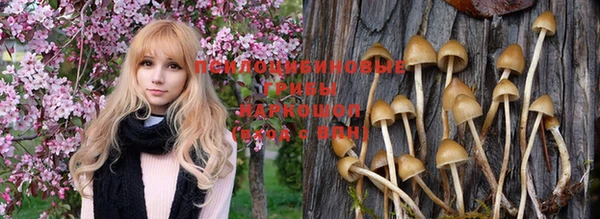 твердый Алексеевка