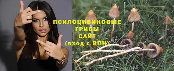 COCAINE Абаза